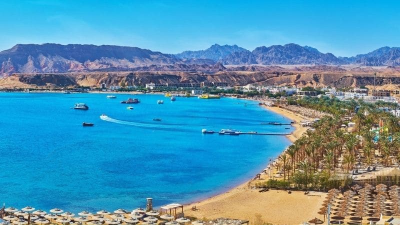 Sahl Hasheesh